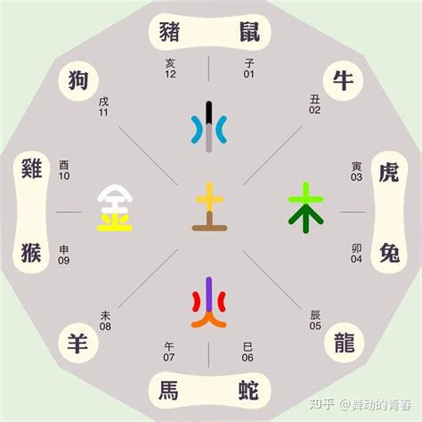 十二生肖 五行|“十二生肖”与“五行”的关系，来看看你的生肖五行属什么？